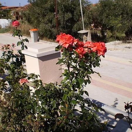 Apartment Anatolia Kriopigi